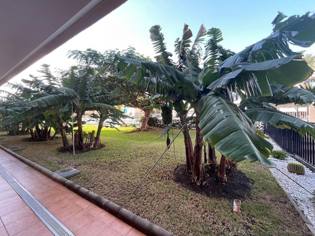 Seaview Apartment Los Cactus Playa del Inglés Zewnętrze zdjęcie